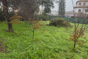 Gerena 1000&nbsp;m² 
