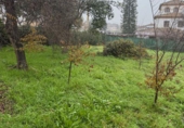 Urban land for sale in Gerena ref: TR377462 photo