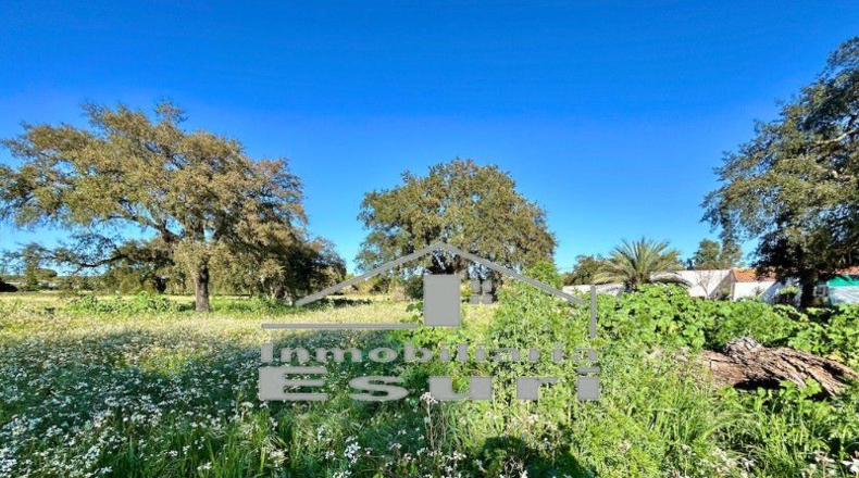 Huelva - Villanueva de los Castillejos - 43613m2