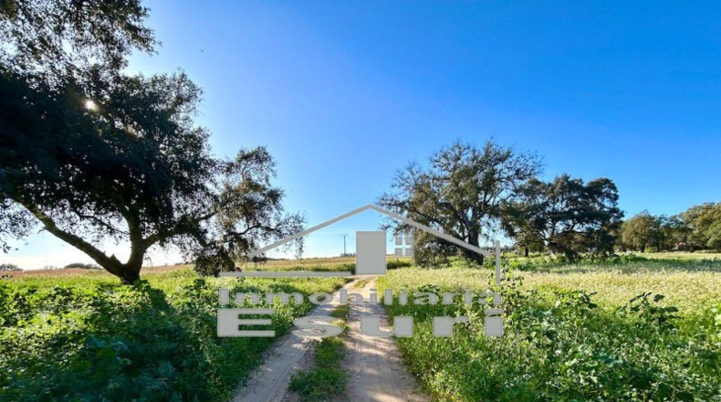 Huelva - Villanueva de los Castillejos - 43613m2