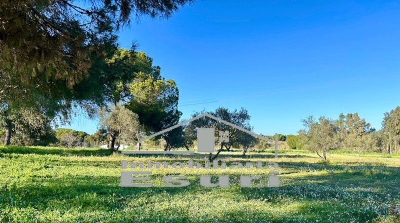 Huelva - Villanueva de los Castillejos - 43613m2