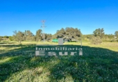Terreno no urbanizable en venta en Villanueva de los Castillejos ref: TR103971 foto
