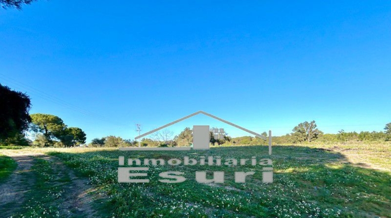 Huelva - Villanueva de los Castillejos - 43613m2