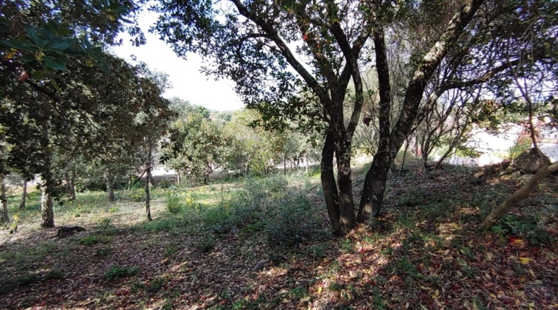 Gerona - Bescanó - 860m2