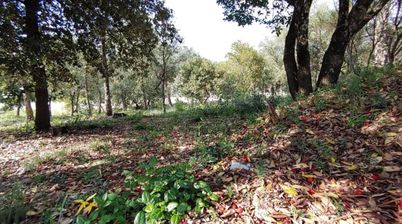Gerona - Bescanó - 860m2