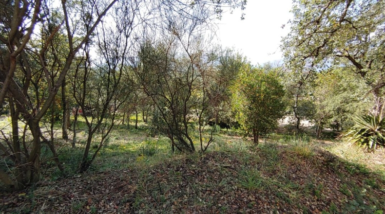 Gerona - Bescanó - 860m2