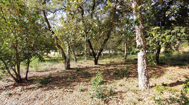 Gerona - Bescanó - 860m2