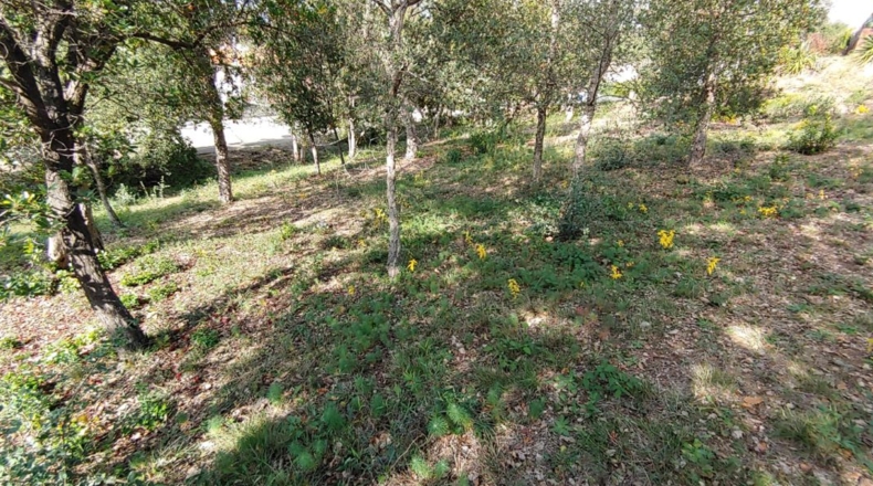 Gerona - Bescanó - 860m2