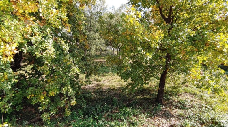 Gerona - Bescanó - 860m2
