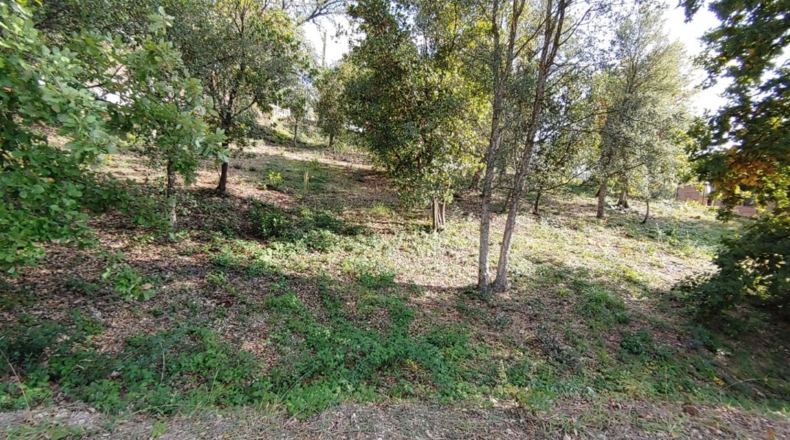 Gerona - Bescanó - 860m2
