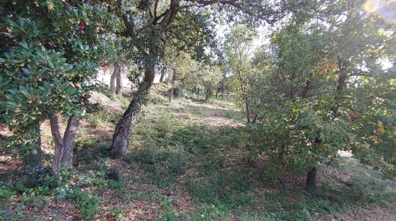 Gerona - Bescanó - 860m2