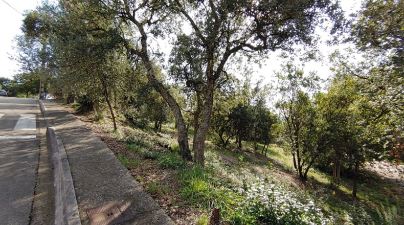 Gerona - Bescanó - 860m2