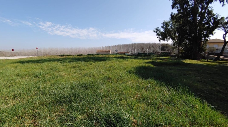 Gerona - Riudarenes - 445m2