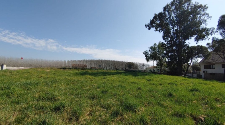 Gerona - Riudarenes - 445m2