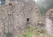 Non-developable land for sale in Osor ref: TR73697 photo