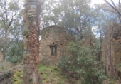 Non-developable land for sale in Osor ref: TR73697 photo