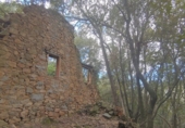 Non-developable land for sale in Osor ref: TR73697 photo