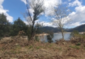 Non-developable land for sale in Osor ref: TR73697 photo