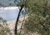 Non-developable land for sale in Osor ref: TR73697 photo