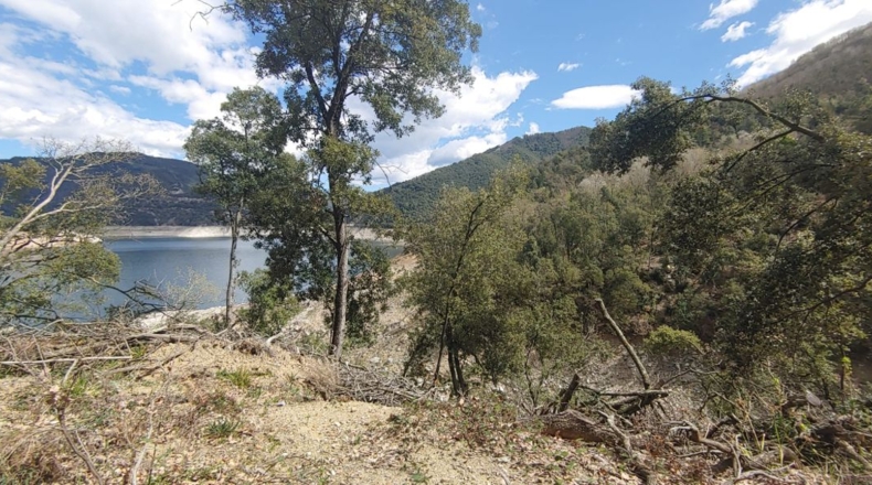 Gerona - Sant Martí Sacalm - 799m2