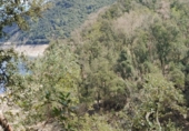 Non-developable land for sale in Osor ref: TR73697 photo