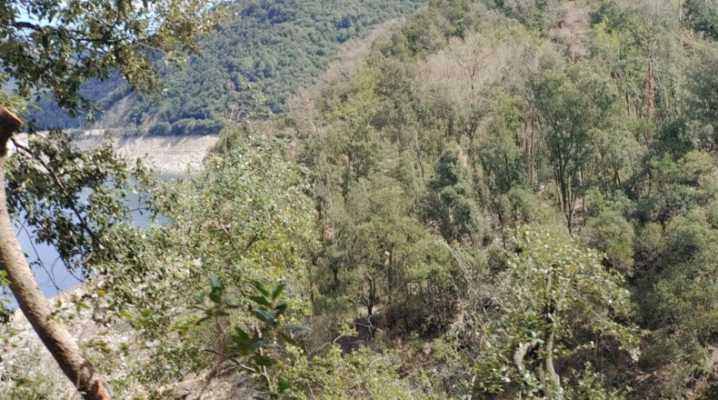Gerona - Sant Martí Sacalm - 799m2