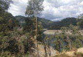 Non-developable land for sale in Osor ref: TR73697 photo