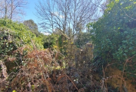 Osor 799&nbsp;m² 
