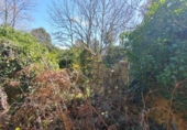 Non-developable land for sale in Osor ref: TR73697 photo