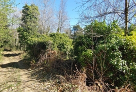 Osor 799&nbsp;m² 