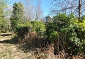 Non-developable land for sale in Osor ref: TR73697 photo