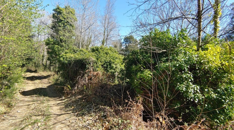 Gerona - Sant Martí Sacalm - 799m2