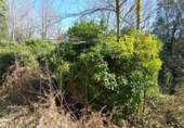 Non-developable land for sale in Osor ref: TR73697 photo