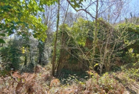 Osor 799&nbsp;m² 