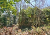 Non-developable land for sale in Osor ref: TR73697 photo