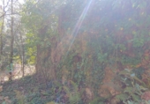 Non-developable land for sale in Osor ref: TR73697 photo