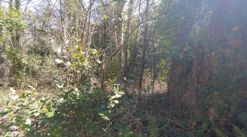 Gerona - Sant Martí Sacalm - 799m2
