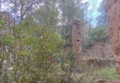 Non-developable land for sale in Osor ref: TR73697 photo