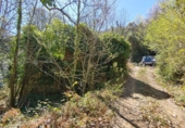 Non-developable land for sale in Osor ref: TR73697 photo