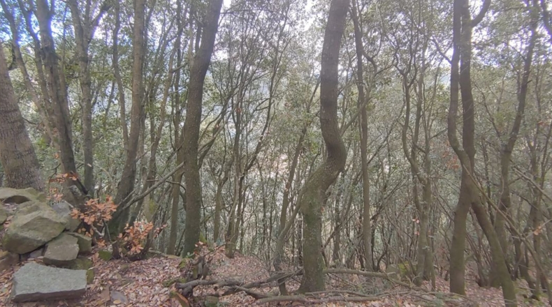 Gerona - Sant Martí Sacalm - 799m2