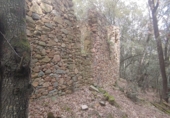 Non-developable land for sale in Osor ref: TR73697 photo