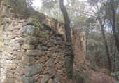 Non-developable land for sale in Osor ref: TR73697 photo