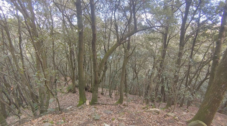 Gerona - Sant Martí Sacalm - 799m2