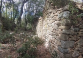 Non-developable land for sale in Osor ref: TR73697 photo