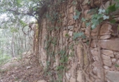 Non-developable land for sale in Osor ref: TR73697 photo