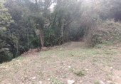 Non-developable land for sale in Osor ref: TR73697 photo