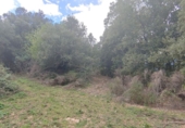 Non-developable land for sale in Osor ref: TR73697 photo