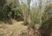 Non-developable land for sale in Osor ref: TR73697 photo