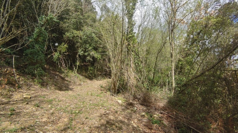Gerona - Sant Martí Sacalm - 799m2
