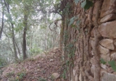 Non-developable land for sale in Osor ref: TR73697 photo